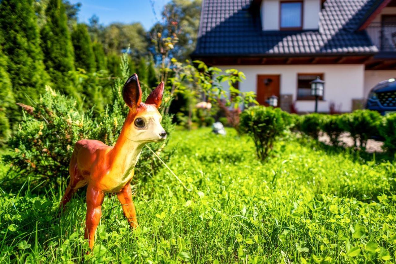 Domek U Eli Czarny Dunajec Exteriör bild